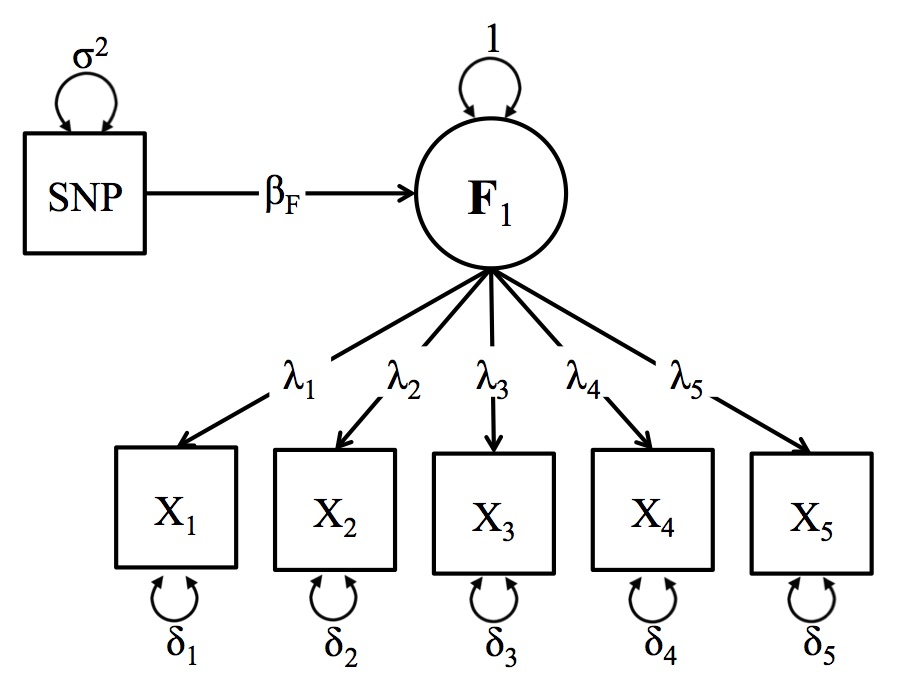 Schematic Depiction of the One-Factor GWAS Model